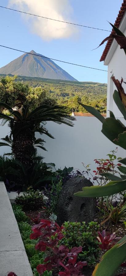 Villa Casa Da Avo Biza São Roque do Pico Esterno foto